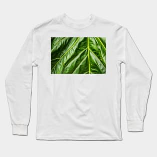 Verdant Delta Long Sleeve T-Shirt